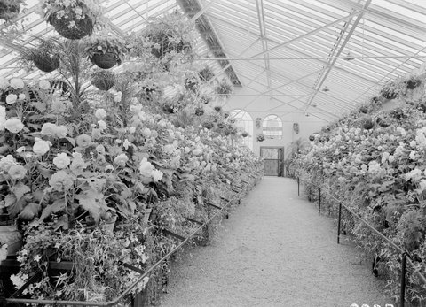 Begonia House, Fitzroy Gardens, 1945–54