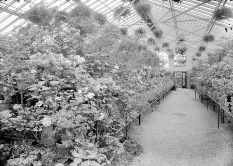 Begonia House, Fitzroy Gardens, 1945–54