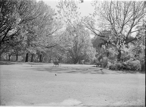 Botanic Gardens, Melbourne, 1947