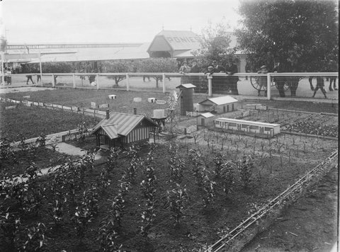 Model farm at Royal Melbourne Show 1929, 1900–40