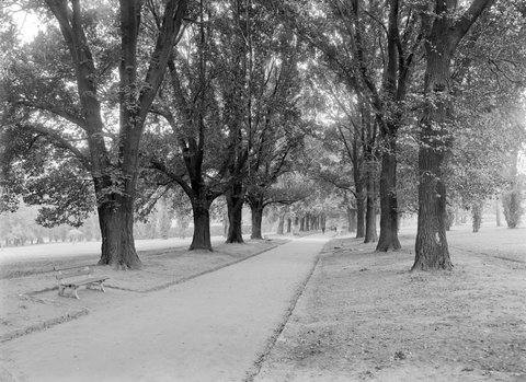 Fitzroy Gardens, 1945–54