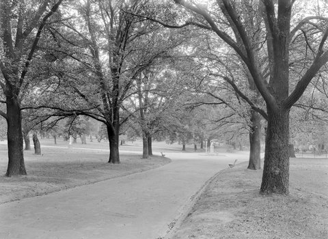 Fitzroy Gardens, 1945–54