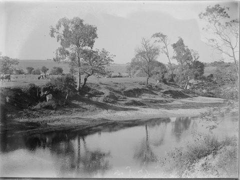 Paddocks and Yarra River (?) at Camberwell, 1927–59