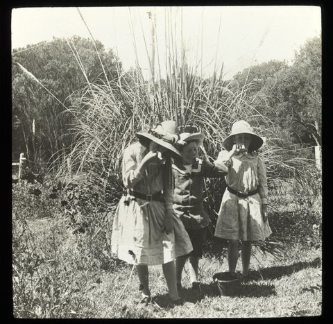 Gertrude (Peggy), Gerard ("Bones") and Clare [Wardell] blowing bubbles - "Ivanhoe", Sorrento, 1904–20
