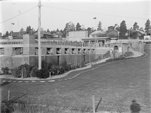 Camberwell Swimming Pool, 1927–59
