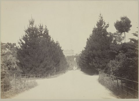 Views of Melbourne ... Fitzroy Gardens, c. 1870