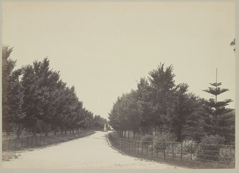 Views of Melbourne ... Fitzroy Gardens, c. 1870