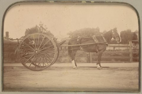 Presented to G. Butlin on disbandment of the Footscray Volunteer Fire Brigade, 1891