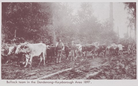 Early Dandenong 1850-1930 : Pictorial glimpses, 1850–1930