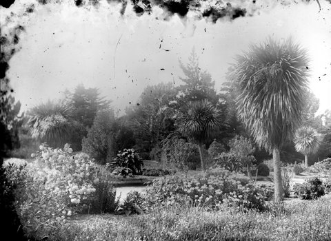 "Botanic Gardens, Williamstown", 1917–23