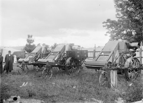 Inspection and display of Sunshine harvesters, Alexandra, c. 1914