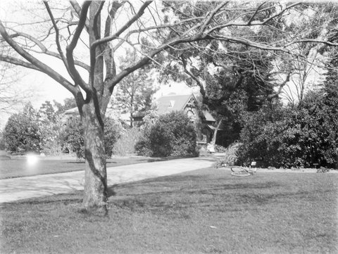 Melbourne Botanical Gardens near office, 1900