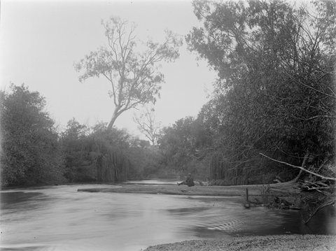 Below Heidelberg Bridge, Mr Hanify on log, 1899