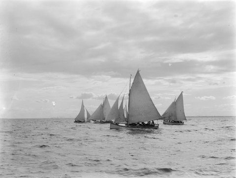 Whisky, Yacht Race, Brighton, 1899