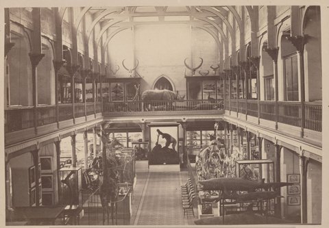 Interior of the National Museum from the South Gallery, Melbourne, c. 1880