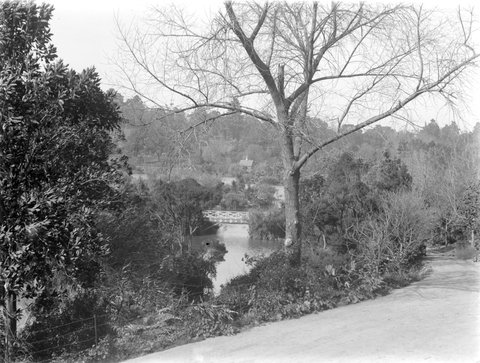 Melb. i.e., Melbourne Botanical Gardens from West River Entrance, 1900