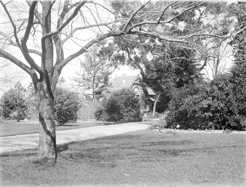 Melbourne Botanical Gardens near office, 1900
