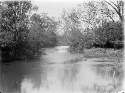 Yarra River near Kew, 1899