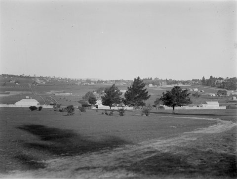 Balwyn from Burke Road, 1898