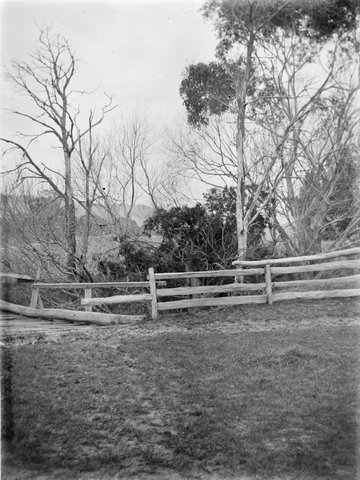 Country view, possibly in the foothills of the Dandenong Ranges, 1914–18