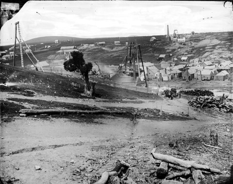 Port Phillip and Colonial Gold Mining Co., Clunes, c. 1861