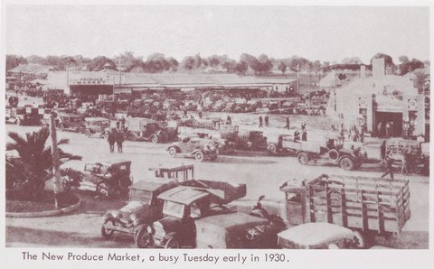 Early Dandenong 1850-1930 : Pictorial glimpses, 1850–1930