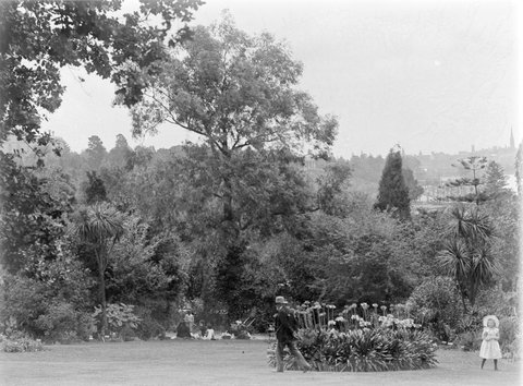 View of the Botanical Gardens (Melbourne?) with a family picnic party, 1900–20