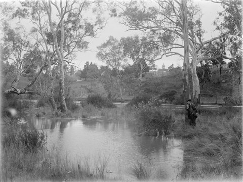 Yarra at Fairfield, 1901