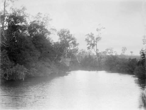 Yarra River at Kew, 1898