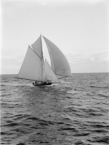 Walker's "Gitana" Spinnaker set St Kilda, 1901
