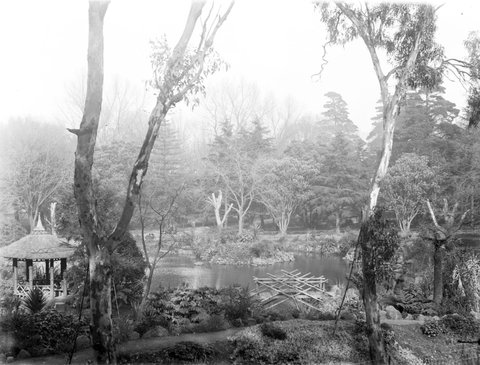 Japanese Garden, Treasury Gardens Melb. [i.e., Melbourne], 1903