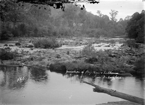 Junction of Big River & Melbourne. Near Darlingford, 1910–40