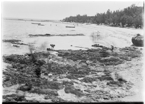Beaumaris Beach, 1898