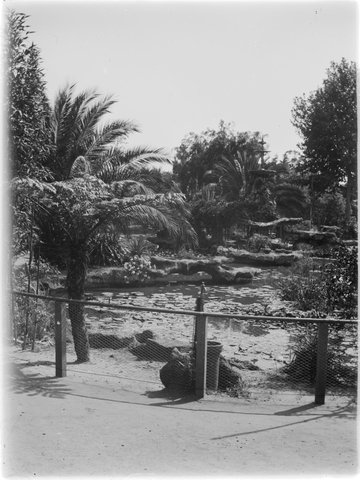 Botanical Gardens, Melbourne, 1900–13