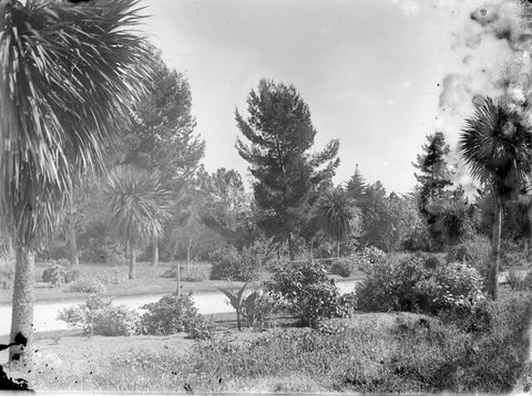 "Botanic Gardens, Williamstown", c. 1920