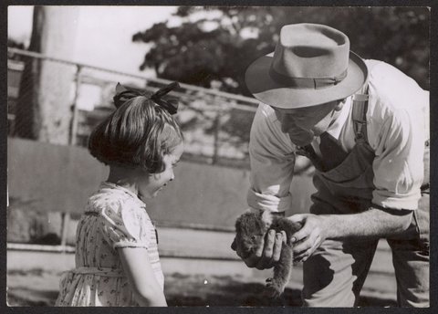 Janice Robinson and Jack Pinches at Melbourne zoo with baby koala, 1944