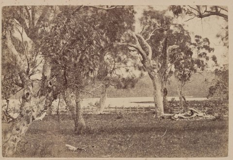 Harcourt Reservoir. Mount Alexander 78 Miles N.N.W. from Melbourne, c. 1875
