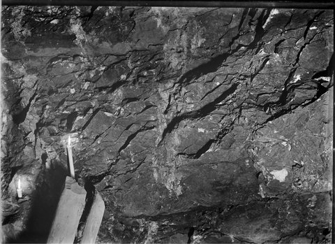 Mother of Gold mine at Harvest Home near Reservoir Camp, c. 1890