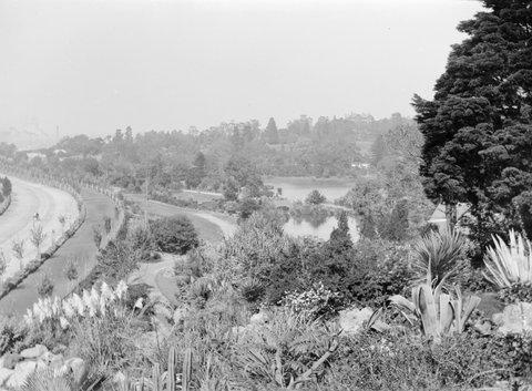 Alexandra Avenue with footpath, ornamental lake and trees to the right, looking towards Anderson Street, South Yarra, 1880–1920