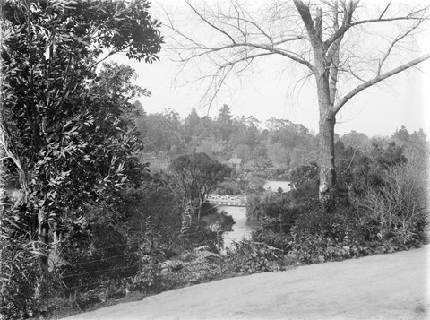 Melb. i.e., Melbourne Botanical Gardens from West River Entrance, 1900