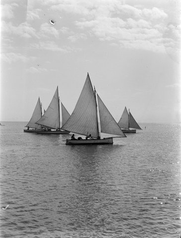 Yacht Race, Brighton, The Start, 1901