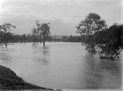 Flood. From Hawthorn Railway Bridge Looking North, 1901