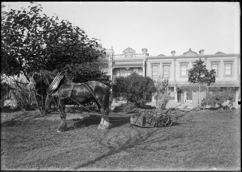 Horse drawn lawn mower, Port Melbourne, 1910–30