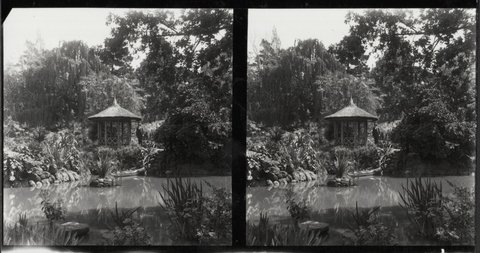 Botanical and Treasury Gardens, Melbourne, Victoria, 1890–1910