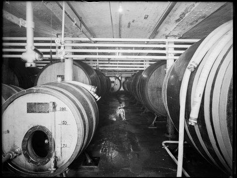 Interior showing the No.1 cellar in the Carlton Brewery, 1938