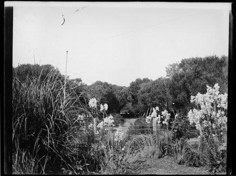 Ivanhoe, Sorrento, Vic, c. 1914