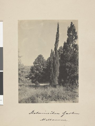 Botanical Gardens, Melbourne, Vic, 1891–97