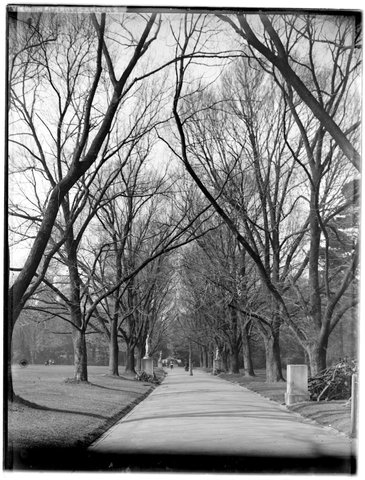 View in Fitzroy Gardens, 1880–1930