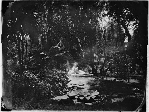 Scene in the Fitzroy Gardens, Melbourne, 1880–1930