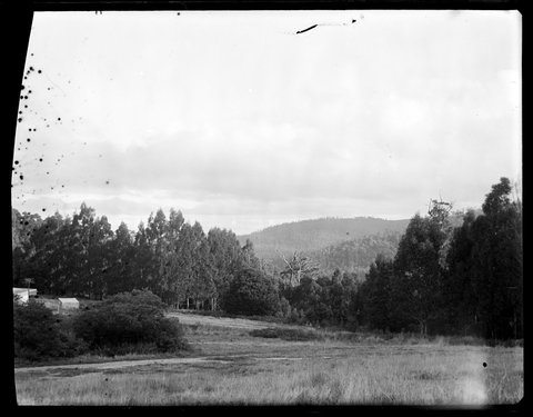 Eltham, 1935